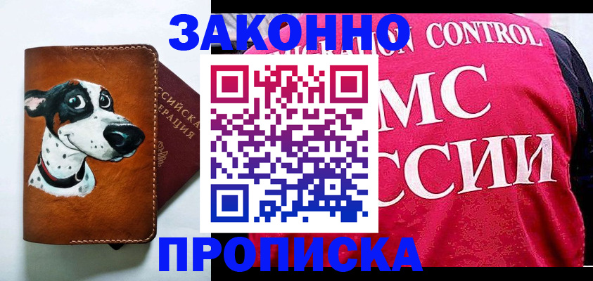 прописка 2025 в Елизово